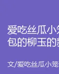 愛喫絲瓜小籠包的柳玉的新書 封面