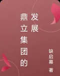 鼎立集團的發展 封面