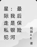 星際走私犯：我是銀河最後保險 封面