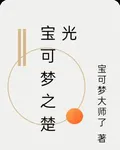 寶可夢之楚光 封面