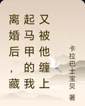 離婚後，藏起馬甲的我又被他纏上 封面