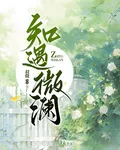 知遇微瀾 封面