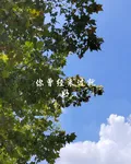 你曾經來過就好 封面