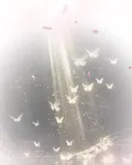 出生就贏了 封面