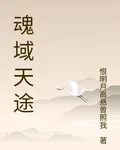 魂域天途 封面