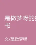 是做夢呀的新書 封面