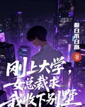 剛上大學，女總裁求我收下別墅 封面