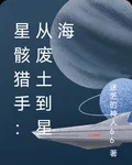 星骸獵手：從廢土到星海 封面