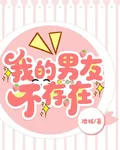 我的男友不存在 封面