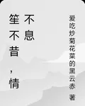 笙不昔，情不息 封面
