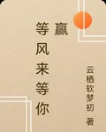 等風來等你贏 封面