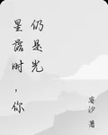 星落時，你仍是光 封面