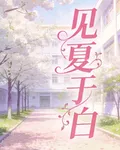 見夏於白 封面