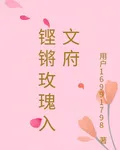 鏗鏘玫瑰入文府 封面