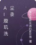 AI璇璣洗塵錄 封面