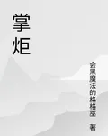 掌炬 封面