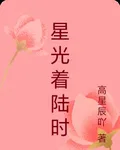 星光着陸時 封面