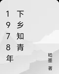 1978年下鄉知青 封面