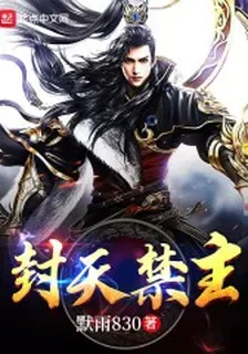 封天禁主 封面