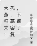 大燕歸來：孤，慕容復，不瘋了 封面