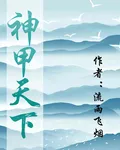 神甲天下 封面