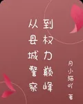 從縣城到權力巔峯 封面