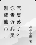剛成仙帝，你告訴我靈氣復甦了？ 封面