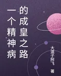 一個精神病的成皇之路 封面