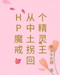 HP魔戒：從中土拐回個精靈王 封面