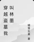 穿越盜墓我叫林墨 封面