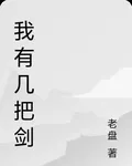 我有幾把劍 封面