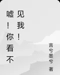 噓！你看不見我！ 封面