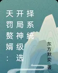 天罰贅婿：開局神級選擇系統 封面