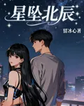 星墜北辰 封面