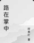 路在掌中 封面