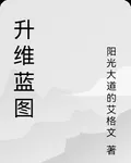 升維藍圖 封面