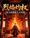 烈焰灼權：叔大的理想主義突圍 封面