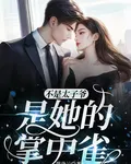 不是太子爺，是她的掌中雀 封面