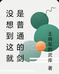 沒想到這就是普通的劍 封面