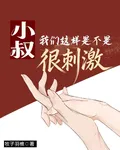 小叔，我們這樣是不是很刺激？ 封面