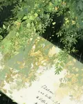 記錄自己的真實平淡的生活 封面