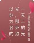 以你爲名的光，那束獨一無二的光 封面