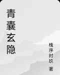 青囊玄隱 封面