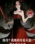 煉丹？我煉的可是天道！ 封面