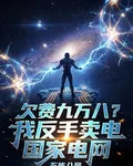 欠費九萬八？我反手賣電國家電網 封面