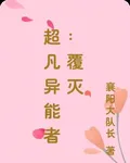 超凡異能者：覆滅 封面