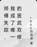 師傅失蹤，我成了唯一的醫武雙修 封面