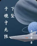於鏡中無限下墜 封面
