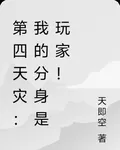 第四天災：我的分身是玩家！ 封面