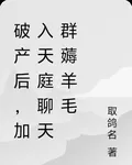 破產後，加入天庭聊天羣薅羊毛 封面